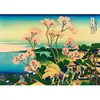 Bluebird Puzzle Katsushika Hokusai - Shinagawa on the Tokaido, 1832