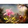 Bluebird Puzzle Martin Johnson Heade - Cattleya Orchid and Three Hummingbirds, 1871