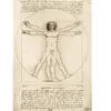 Bluebird Puzzle Leonardo Da Vinci - The Vitruvian Man, 1490