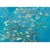 Vincent Van Gogh - Almond Blossom, 1890 1000 Pièces  Bluebird Puzzle