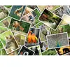 Promenade au Zoo 500 Pièces  Grafika