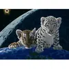 Schim Schimmel - Total Eclipse 2000 Pièces  Grafika