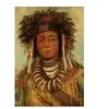 George Catlin : Chef Indien - Ojibbeway, 1843 24 Pièces  Grafika Kids