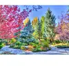 Grafika Forêt Colorée, Colorado, USA