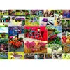 Grafika Collage - Vélos