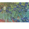 Vincent Van Gogh - Saint-Remy - Les Iris, 1889 1000 Pièces  Grafika