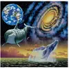 Schim Schimmel - Cosmic Seas 1000 Pièces  Grafika