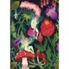 Hachette Le jardin des fées