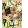Marie-Chantal Puzzle Mini 99 pièces - Pussy Power
