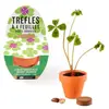 RADIS ET CAPUCINE Mini kit de trèfle à 4 feuilles