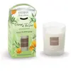 ESTEBAN Bougie parfumé rechargeable - Orange et Thé Vert 180GR