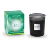 Bougie parfumée initiale eau d'amazonie