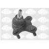 SASIC 9005569 Rotule de suspension