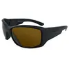 Lunettes de soleil Julbo Whoops - Noir Satin
