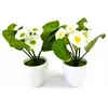 Petites Pâquerettes artificielles 19cm assorties en pot (x1)