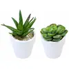 Petite Plante Succulente artificielle assortie en pot