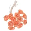 Sachet de 48 mini-Roses satin, Pêche/Corail
