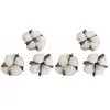 6 fleurs de coton - hobi dek0815