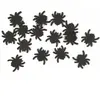 Sachet de 15 Confettis de table ARAIGNEES en bois, Noir