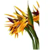 Fleur artificielle - Oiseau de Paradis - Strelitzia reginae - Très réaliste - Intérieur