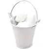 Sachet de 3 petits Seaux métal, Blanc