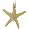 Grande Etoile de mer en résine naturelle 12cm