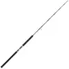 Daiwa Canne Jigging Saltiga Deep