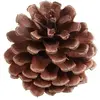 Sachet de 12 Pommes de pin 5cm, Naturelles
