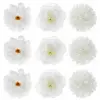 SANTEX 8569-1, Boite de 9 Fleurs assorties 7cm à 10cm