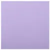 Sachet de 20 Grandes SERVIETTES Airlaid 40 x 40cm, Parme