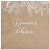 20 SERVIETTES PAPIER DOUCEUR D'HIVER 33CM NATURE