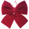 Un Petit nœud papillon velours - Rouge