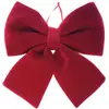 Un Nœud papillon velours - Rouge