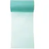 Ruban Intissé - Mint - 10 Mètres