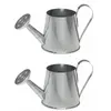 Lot de 2 petits Arrosoirs en métal 5x9cm