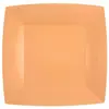 Lot de 10 Assiettes Carrées carton compostables 23x23cm, Corail