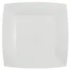 Santex mariage Lot de 10 Assiettes Carrées carton compostables 23x23cm, Blanc