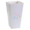 SANTEX Boîte cornet Baby Shower Boy and Girl pour gourmandises (x8) REF/7658