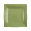 10 ASSIETTES CARTON BIO CARRÉES 18CM VERT OLIVE