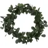 Couronne Eucalyptus  cm