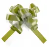 Sachet de 5 Noeuds automatiques tulle, vert Sauge