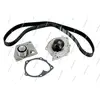 Kit De Distribution Nps N118n60