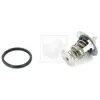 Thermostat Nps T153a12