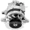 Nps NIPPON PIECES SERVICES Alternateur pour MITSUBISHI: Pajero, Shogun, L300 (Ref: M511I66)