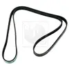 Courroie D'accessoires Nps S111i51