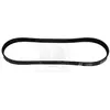 Courroie D'accessoires Nps M111a72