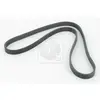 Courroie D'accessoires Nps T111a14