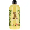 Baume Démêlant Argan & Karité Soteix