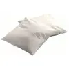 Lot de 2 coussins de garnissage 40 x 40 cm Polyester
