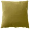 Coussin Déco en Velours Édition 40x40cm Bronze